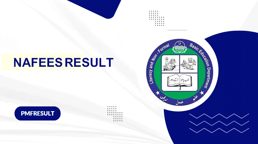 Literacy Non Formal Basic Education Result